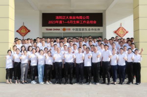 總結(jié)過(guò)去，計(jì)劃未來(lái)，協(xié)同創(chuàng)新，再創(chuàng)佳績(jī)！洛陽(yáng)正大舉行2023年上半年工作總結(jié)會(huì)議